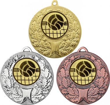 Комплект медалей №966-192 (Волейбол, диаметр 50 мм (Три медали плюс три жетона для вклейки) Место для вставок: обратная сторона диаметр 45 мм)