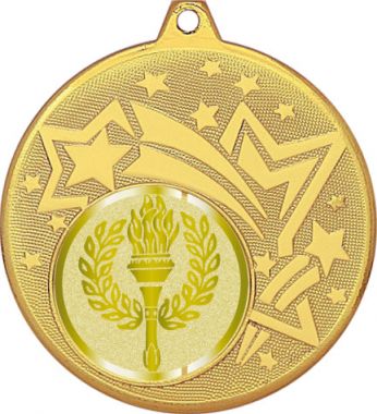Медаль №977-27 (Факел, олимпиада, диаметр 45 мм (Медаль цвет золото плюс жетон для вклейки) Место для вставок: обратная сторона диаметр 39 мм)