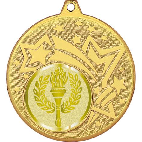 Медаль №977-1274 (Факел, олимпиада, диаметр 45 мм (Медаль цвет золото плюс жетон для вклейки) Место для вставок: обратная сторона диаметр 40 мм)
