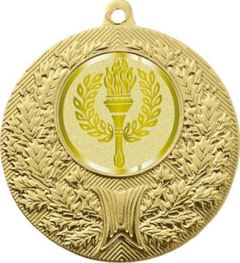 Медаль №977-192 (Факел, олимпиада, диаметр 50 мм (Медаль цвет золото плюс жетон для вклейки) Место для вставок: обратная сторона диаметр 45 мм)