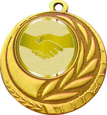 Медаль №979-1274 (Товарищеская встреча, диаметр 45 мм (Медаль цвет золото плюс жетон для вклейки) Место для вставок: обратная сторона диаметр 40 мм)