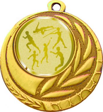 Медаль №980-27 (Легкая атлетика, диаметр 45 мм (Медаль цвет золото плюс жетон для вклейки) Место для вставок: обратная сторона диаметр 39 мм)