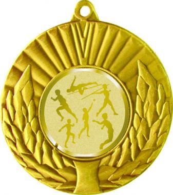 Медаль №980-192 (Легкая атлетика, диаметр 50 мм (Медаль цвет золото плюс жетон для вклейки) Место для вставок: обратная сторона диаметр 45 мм)