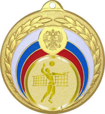 Медаль №988-196 (Волейбол, диаметр 50 мм (Медаль цвет золото плюс жетон для вклейки) Место для вставок: обратная сторона диаметр 45 мм)