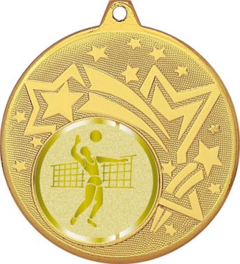 Медаль №988-1274 (Волейбол, диаметр 45 мм (Медаль цвет золото плюс жетон для вклейки) Место для вставок: обратная сторона диаметр 40 мм)