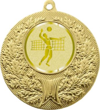 Медаль №988-192 (Волейбол, диаметр 50 мм (Медаль цвет золото плюс жетон для вклейки) Место для вставок: обратная сторона диаметр 45 мм)