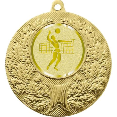 Медаль №988-192 (Волейбол, диаметр 50 мм (Медаль цвет золото плюс жетон для вклейки) Место для вставок: обратная сторона диаметр 45 мм)