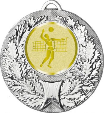 Медаль №988-192 (Волейбол, диаметр 50 мм (Медаль цвет серебро плюс жетон для вклейки) Место для вставок: обратная сторона диаметр 45 мм)