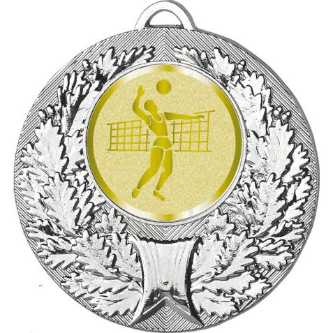 Медаль №988-192 (Волейбол, диаметр 50 мм (Медаль цвет серебро плюс жетон для вклейки) Место для вставок: обратная сторона диаметр 45 мм)