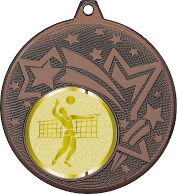 Медаль №988-1274 (Волейбол, диаметр 45 мм (Медаль цвет бронза плюс жетон для вклейки) Место для вставок: обратная сторона диаметр 40 мм)