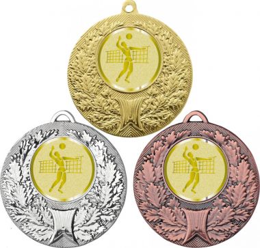 Комплект медалей №988-192 (Волейбол, диаметр 50 мм (Три медали плюс три жетона для вклейки) Место для вставок: обратная сторона диаметр 45 мм)