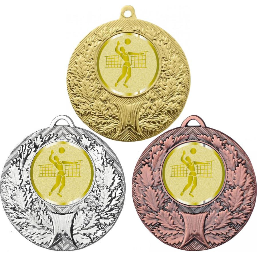 Комплект медалей №988-192 (Волейбол, диаметр 50 мм (Три медали плюс три жетона для вклейки) Место для вставок: обратная сторона диаметр 45 мм)